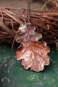 Image 3 of Vera foglia di quercia racchiusa nel rame con patina ossidata sfumata