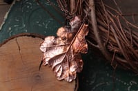 Image 1 of Vera foglia di quercia racchiusa nel rame con patina leggermente ossidata 