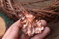 Image 3 of Vera foglia di quercia racchiusa nel rame con patina leggermente ossidata 