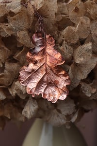 Image 2 of Vera foglia di quercia racchiusa nel rame con patina leggermente ossidata 