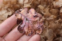Image 2 of Vera foglia di quercia racchiusa nel rame con patina ossidata intensa