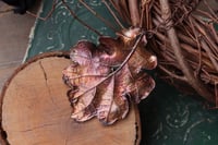 Image 1 of Vera foglia di quercia racchiusa nel rame con patina ossidata intensa