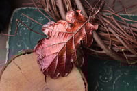 Image 2 of Vera foglia di quercia racchiusa nel rame con patina rossa