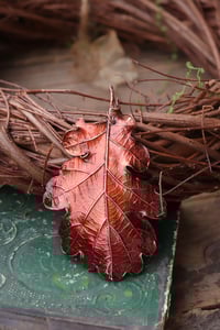 Image 3 of Vera foglia di quercia racchiusa nel rame con patina rossa