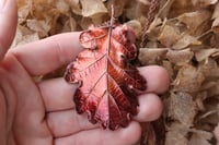 Image 1 of Vera foglia di quercia racchiusa nel rame con patina rossa