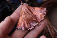 Image 2 of Vera foglia di ginkgo biloba racchiusa nel rame con patina ossidata calda