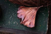 Image 3 of Vera foglia di ginkgo biloba racchiusa nel rame con patina ossidata calda