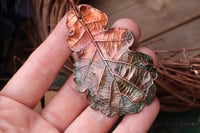 Image 1 of Vera foglia di quercia racchiusa nel rame con patina sfumata verde scuro