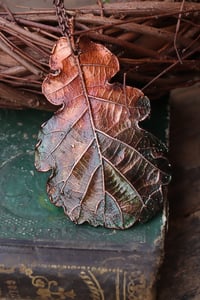 Image 2 of Vera foglia di quercia racchiusa nel rame con patina sfumata verde scuro