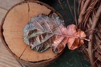 Image 3 of Vera foglia di quercia racchiusa nel rame con patina sfumata verde scuro