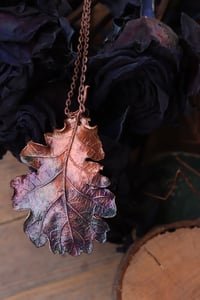 Image 2 of Vera foglia di quercia racchiusa nel rame con patina sfumata viola