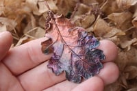 Image 3 of Vera foglia di quercia racchiusa nel rame con patina sfumata viola