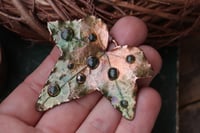 Image 1 of Vera foglia di edera 2 - Sotto la superficie