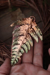 Image 3 of Vera felce elettroformata in rame con patina sfumata verde