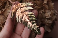 Image 1 of Vera felce elettroformata in rame con patina sfumata verde