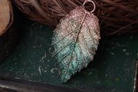 Image 1 of Vera foglia di rovo racchiusa nel rame con patina sfumata celeste