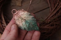 Image 2 of Vera foglia di rovo racchiusa nel rame con patina sfumata celeste