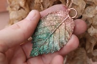 Image 3 of Vera foglia di rovo racchiusa nel rame con patina sfumata celeste