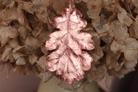 Image 3 of Vera foglia di quercia racchiusa nel rame con finitura lucida