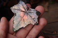 Image 1 of Vera foglia di edera racchiusa nel rame con patina sfumata verde scuro