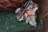 Image 3 of Vera foglia di edera racchiusa nel rame con patina sfumata verde scuro