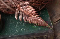 Image 1 of Vera felce elettroformata in rame con patina leggermente ossidata