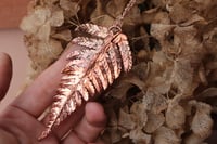 Image 2 of Vera felce elettroformata in rame con patina leggermente ossidata