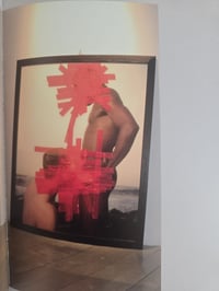 Image 6 of Andres Serrano - Uncensored Photographs