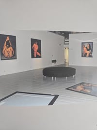 Image 7 of Andres Serrano - Uncensored Photographs