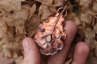 Image 2 of Vera foglia di quercia elettroformata in rame con finitura ossidata e labradorite