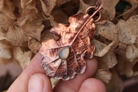 Image 3 of Vera foglia di quercia elettroformata in rame con finitura ossidata e labradorite