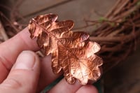 Image 1 of Vera foglia di quercia racchiusa nel rame con patina ossidata sfumata calda