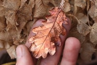 Image 3 of Vera foglia di quercia racchiusa nel rame con patina ossidata sfumata calda