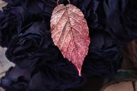 Image 1 of Vera foglia di rovo racchiusa nel rame con patina sfumata rossa