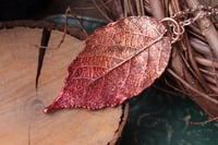 Image 2 of Vera foglia di rovo racchiusa nel rame con patina sfumata rossa