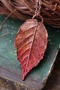 Image 3 of Vera foglia di rovo racchiusa nel rame con patina sfumata rossa