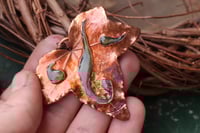 Image 2 of Vera foglia di edera 3 - Sotto la superficie