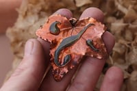 Image 1 of Vera foglia di edera 3 - Sotto la superficie