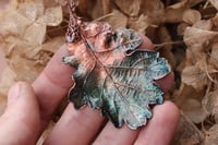 Image 2 of Vera foglia di quercia racchiusa nel rame con patina sfumata celeste/teal