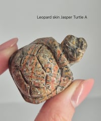 Image 4 of Jasper 