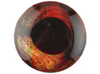 Image 2 of Living Eyes