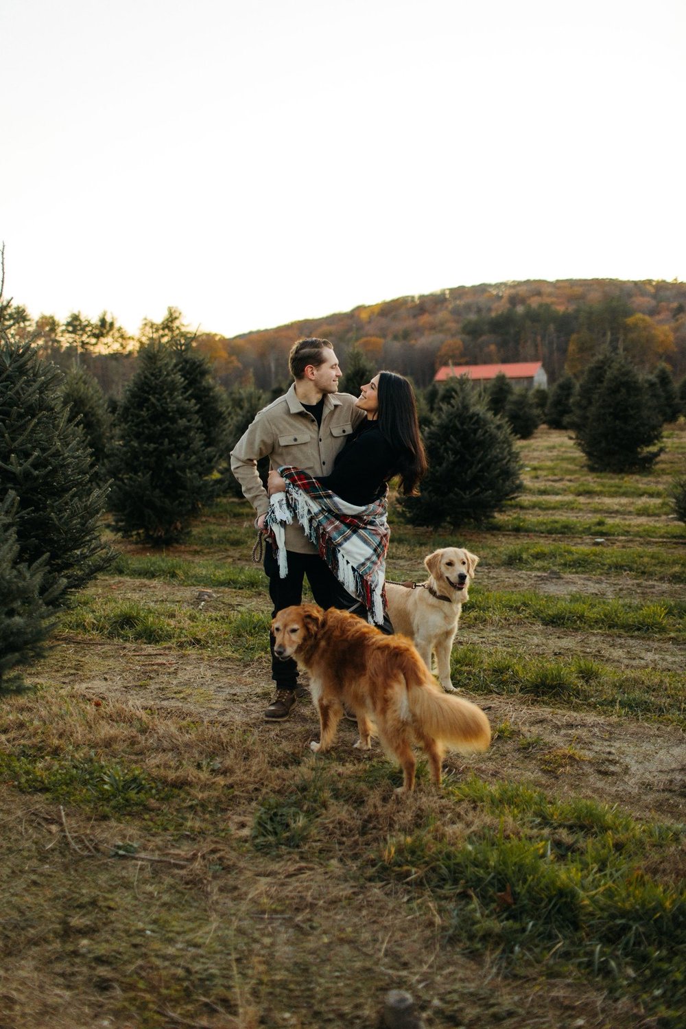 TREE FARM MINIS