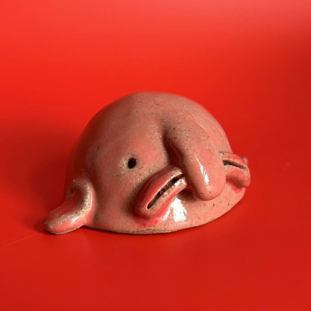 Image of Beautiful Blobfish 