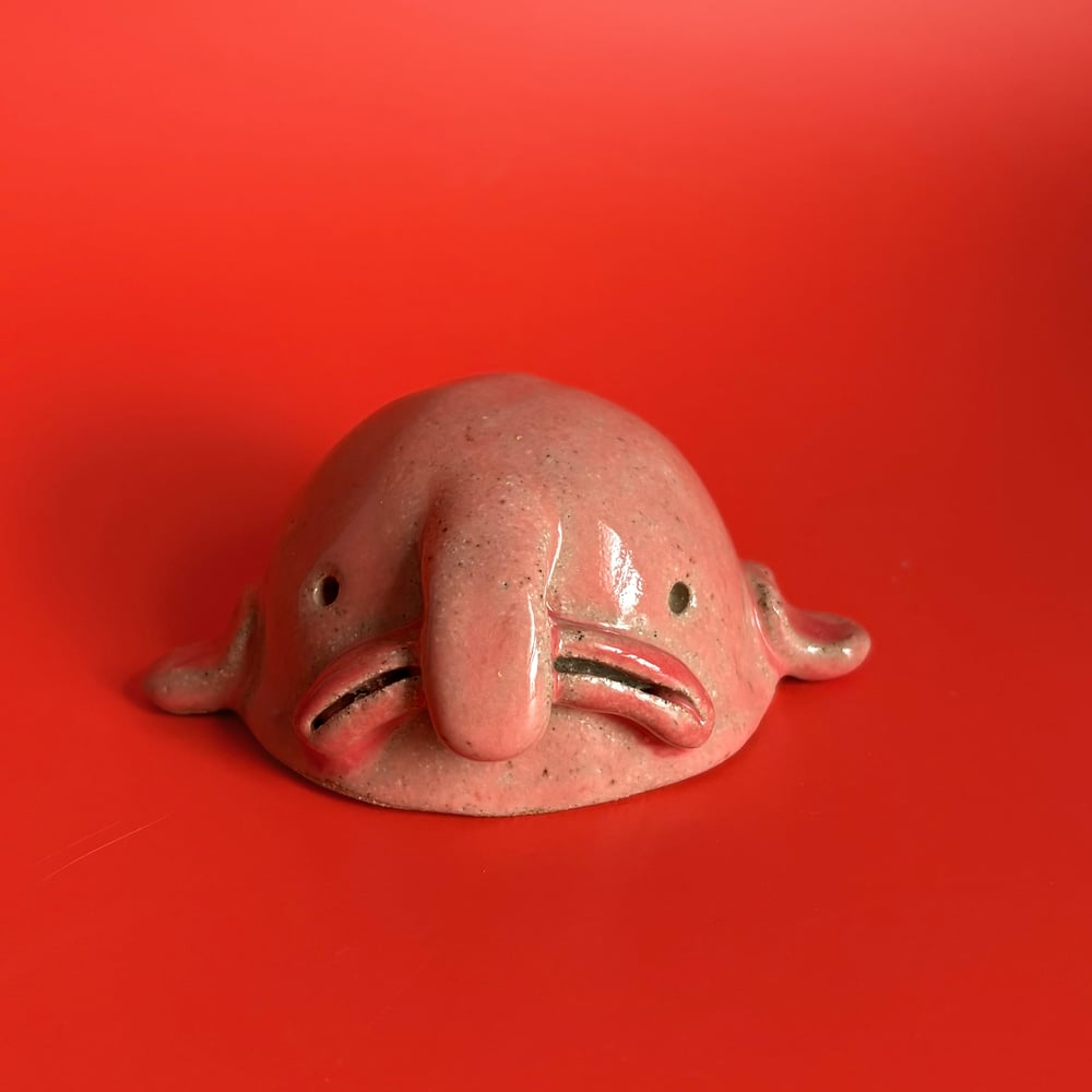 Image of Beautiful Blobfish 