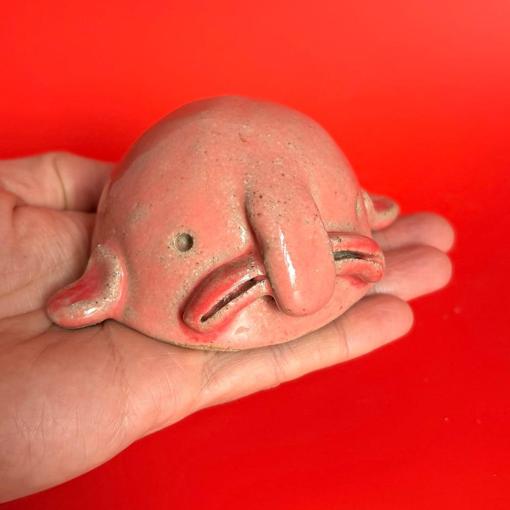 Image of Beautiful Blobfish 