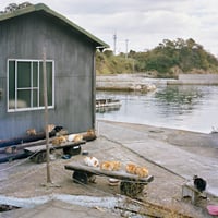 Katherine Longly - Cat Island Blues 02