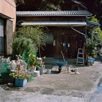 Katherine Longly - Cat Island Blues 06