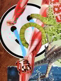 Image 4 of Uma Catástrofe Anunciada