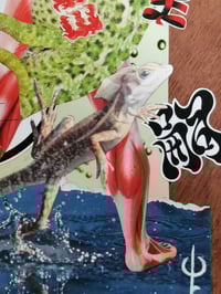 Image 5 of Uma Catástrofe Anunciada