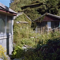 Katherine Longly - Cat Island Blues 05